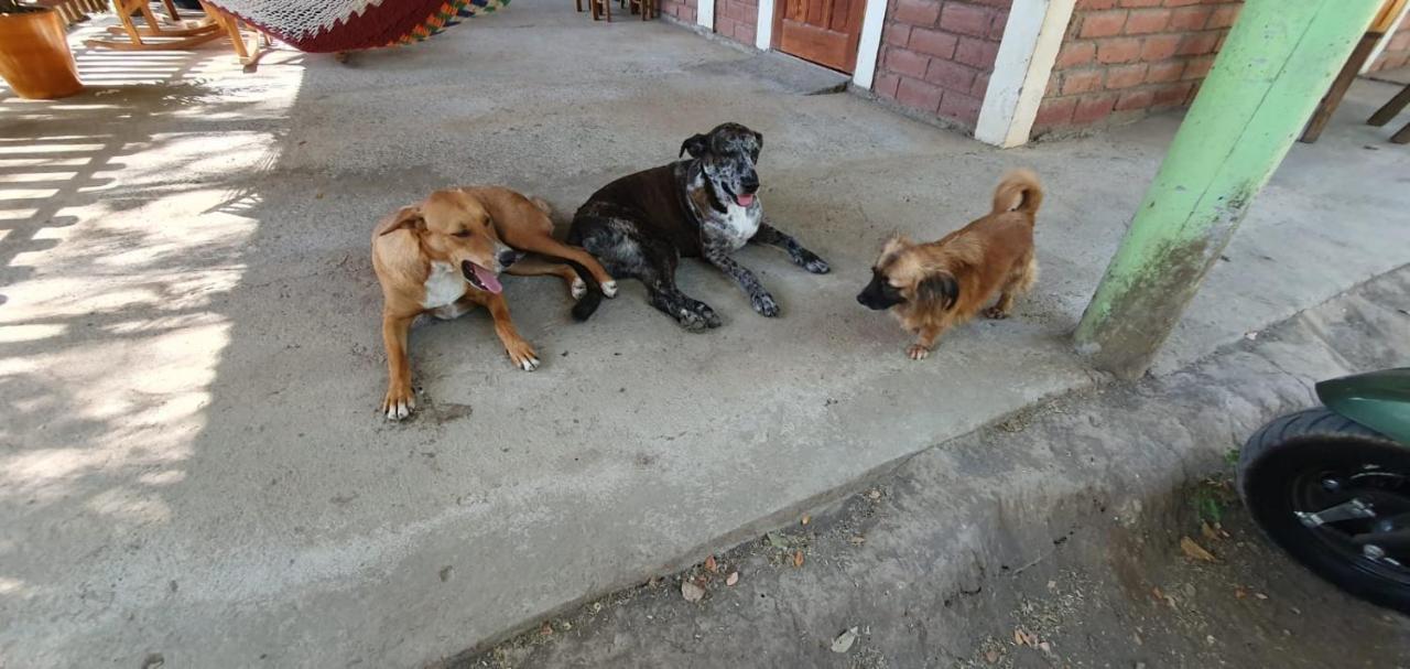 B&B, Family Run Homestay, Hospedaje La Penita Altagracia ภายนอก รูปภาพ
