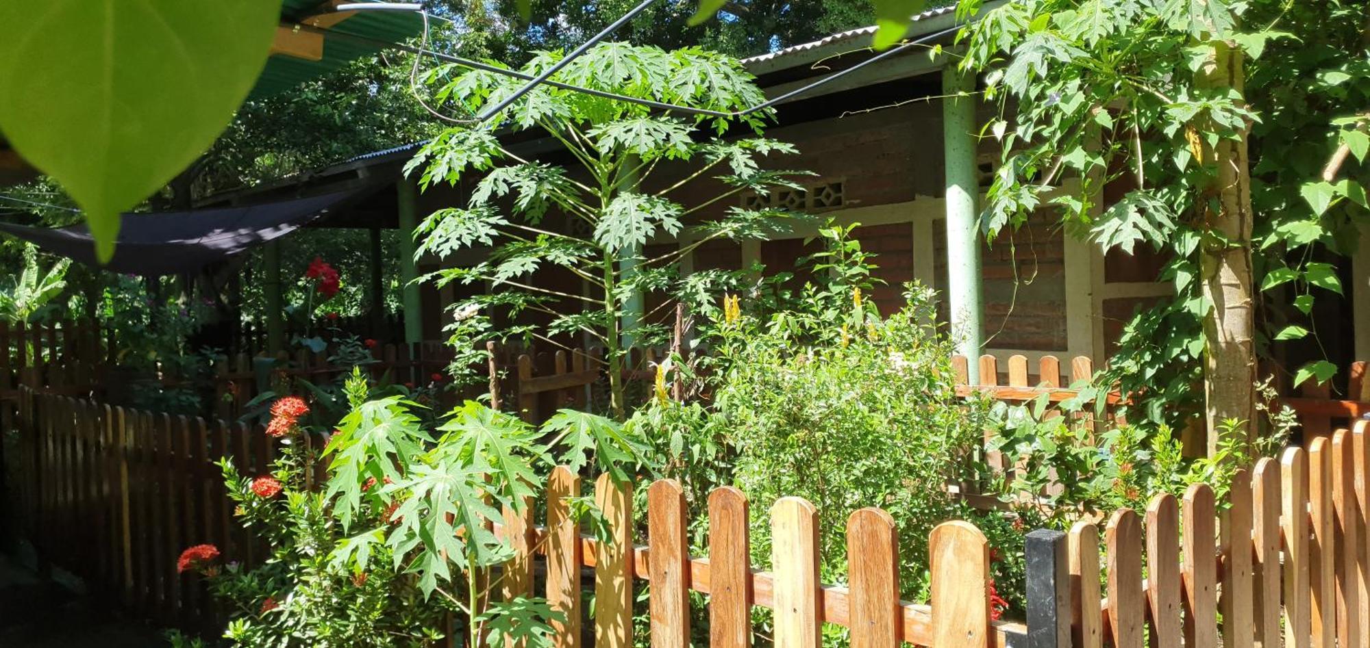 B&B, Family Run Homestay, Hospedaje La Penita Altagracia ภายนอก รูปภาพ