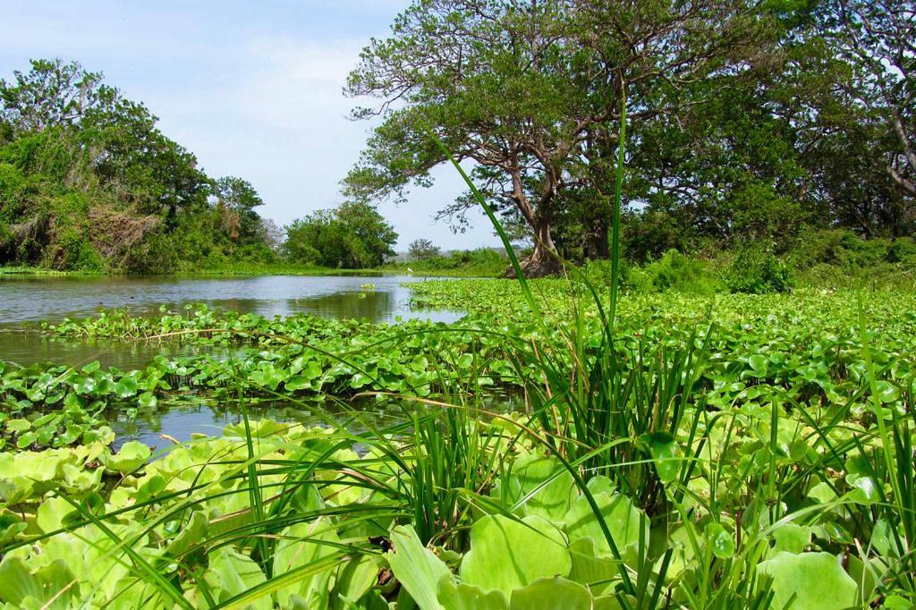 B&B, Family Run Homestay, Hospedaje La Penita Altagracia ภายนอก รูปภาพ