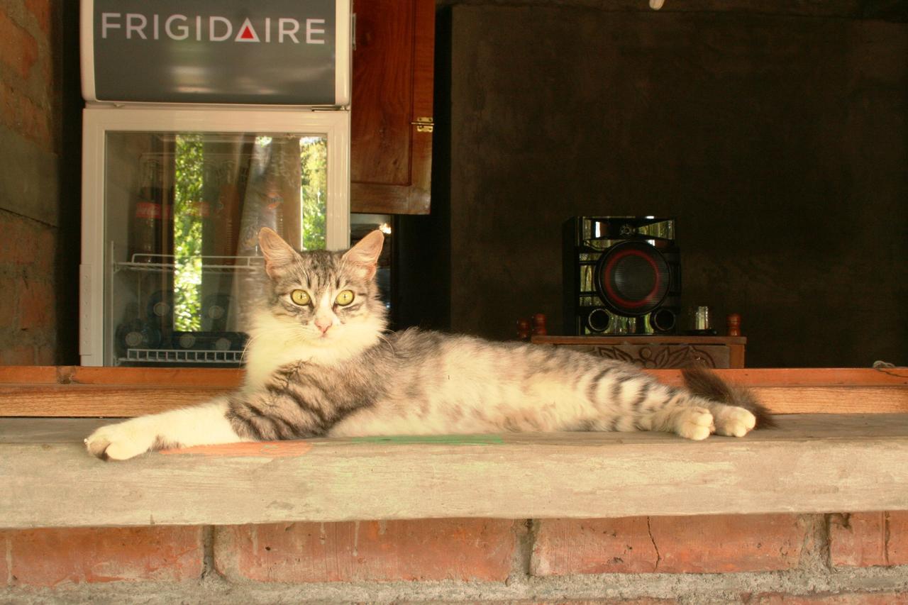 B&B, Family Run Homestay, Hospedaje La Penita Altagracia ภายนอก รูปภาพ